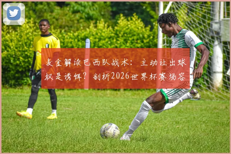 麦金解读巴西队战术:主动让出球权是诱饵?剖析2026世界杯赛场容错率极低的残酷现实