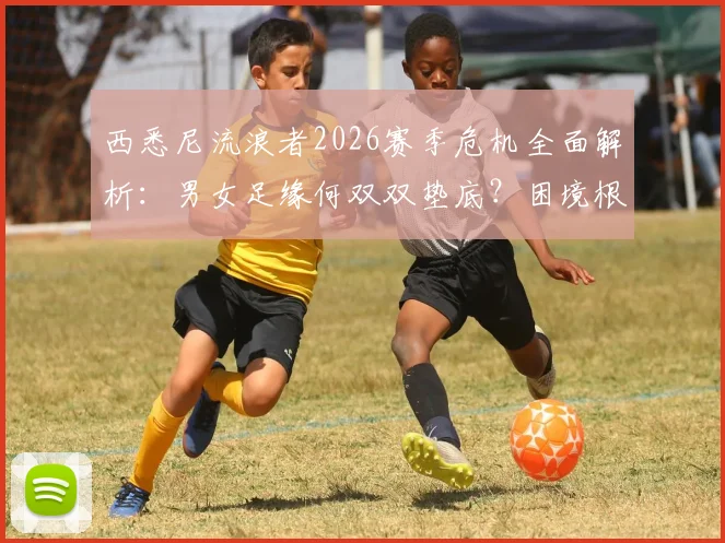 西悉尼流浪者2026赛季危机全面解析：男女足缘何双双垫底？困境根源与重建路径深度探讨